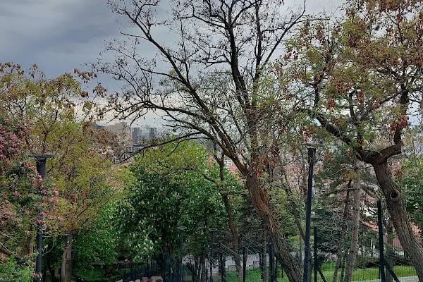 Ankara Evi Parkı - Resim 6