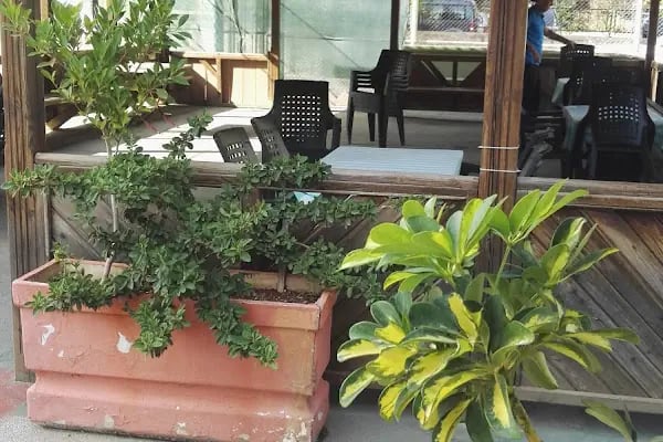 GÜZELYALI MANAVLAR SPOR KOMPLEKSİ - Resim 13
