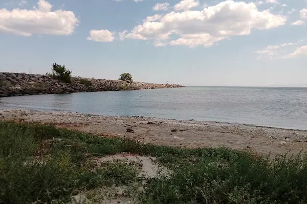 Nato Limanı Tekirdağ - Resim 7