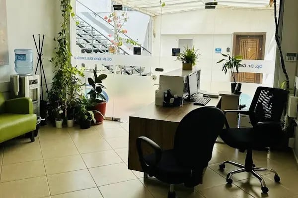 Op Dr Gürol Oral Bodrum Kulak Burun Boğaz Hastalıkları Uzmanı, Ear Nose and Throat, Otolaryngolojist - Resim 6