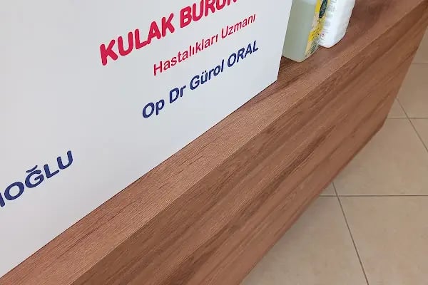 Op Dr Gürol Oral Bodrum Kulak Burun Boğaz Hastalıkları Uzmanı, Ear Nose and Throat, Otolaryngolojist - Resim 10