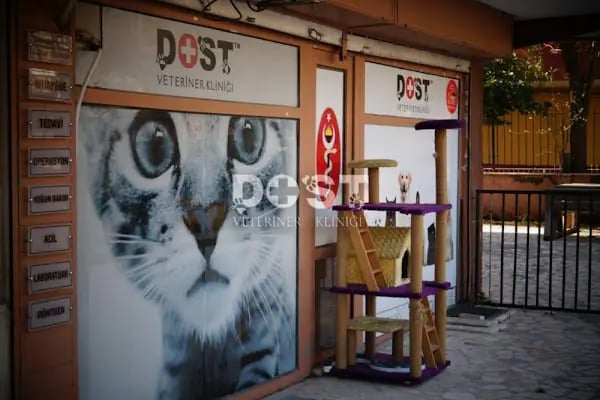 Dost Veteriner Kliniği 7/24 Bahcelievler Acil Veteriner - Resim 3