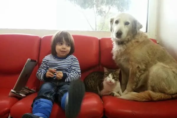 Dost Veteriner Kliniği 7/24 Bahcelievler Acil Veteriner - Resim 16