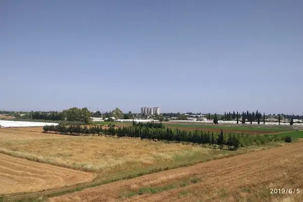 Falezyum Residence - Resim 17