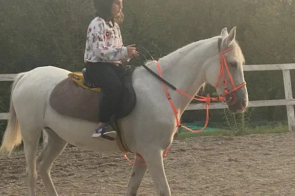 Sakarya Atlı Spor Köyü - Resim 8