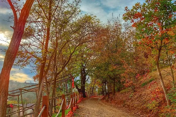 Sakarya Atlı Spor Köyü - Resim 3
