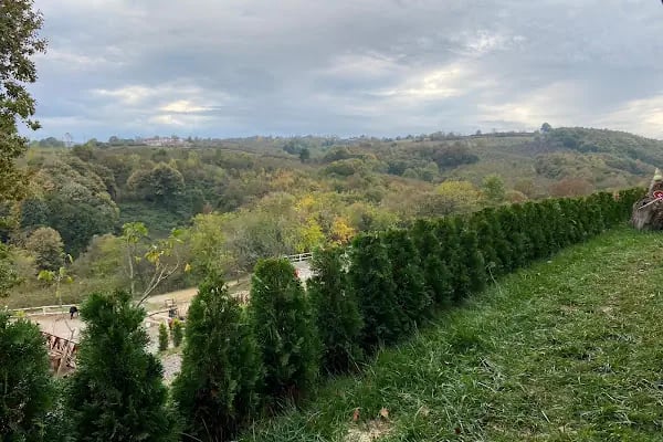 Sakarya Atlı Spor Köyü - Resim 4