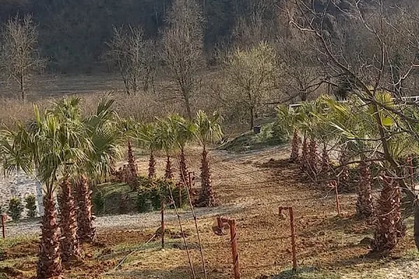 Sakarya Atlı Spor Köyü - Resim 12
