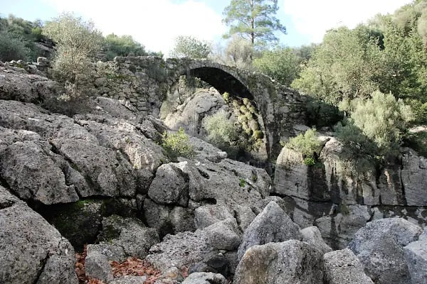 Tazı Kanyonu Kamp Alanı - Resim 7