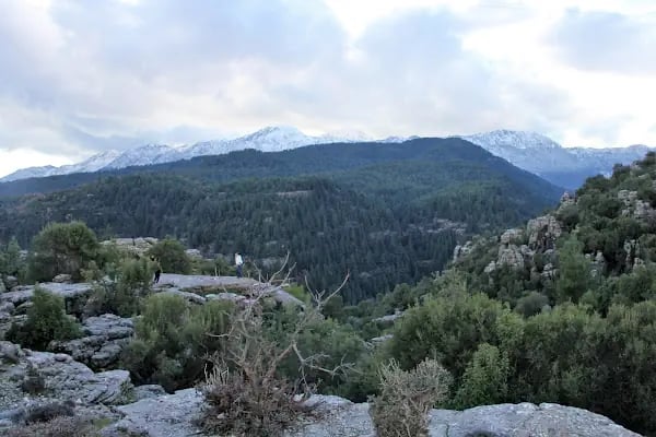 Tazı Kanyonu Kamp Alanı - Resim 2