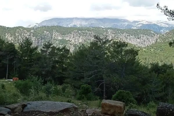 Tazı Kanyonu Kamp Alanı - Resim 10