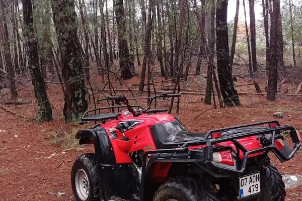 Tazı Kanyonu Kamp Alanı - Resim 16