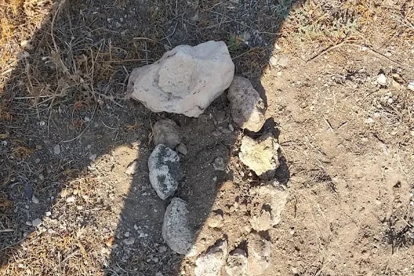 Zafervet Veteriner Kliniği - Resim 12