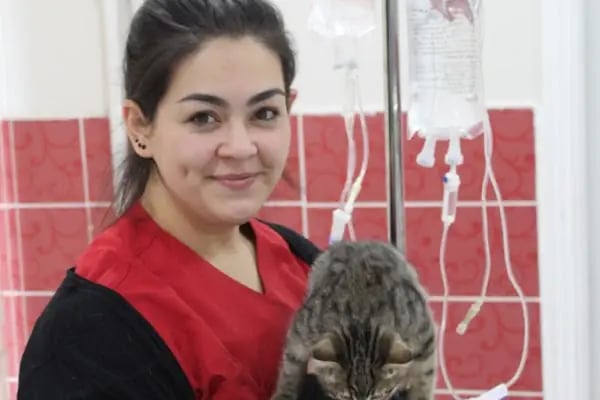 Zafervet Veteriner Kliniği - Resim 14