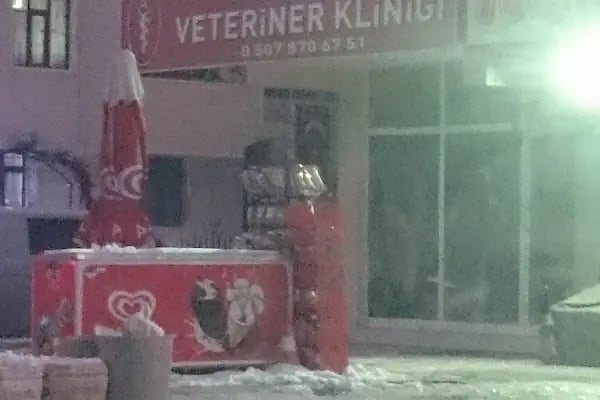 Zafervet Veteriner Kliniği - Resim 11