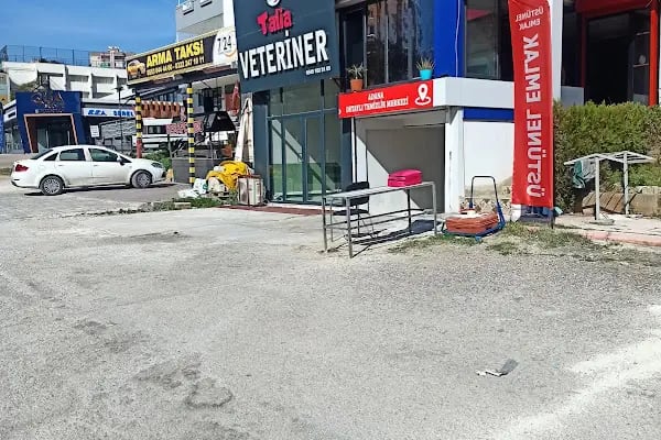 Adana Detaylı Temizlik Merkezi - Resim 2