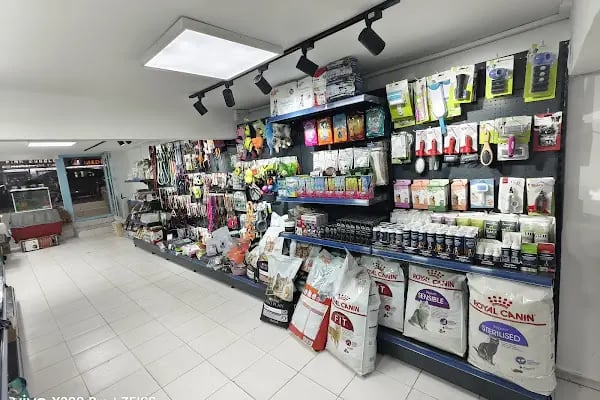 Blue Fish Petshop - Resim 2