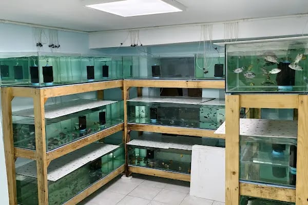 Blue Fish Petshop - Resim 6