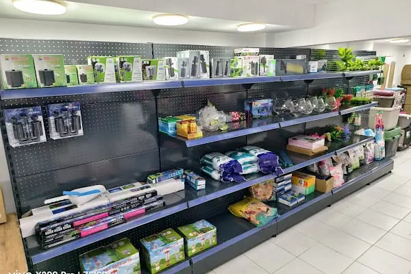 Blue Fish Petshop - Resim 8