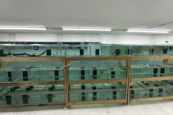 Blue Fish Petshop - Resim 12