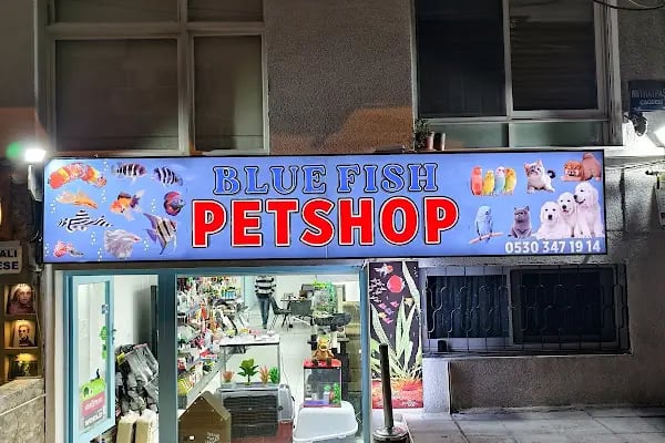 Blue Fish Petshop - Resim 7