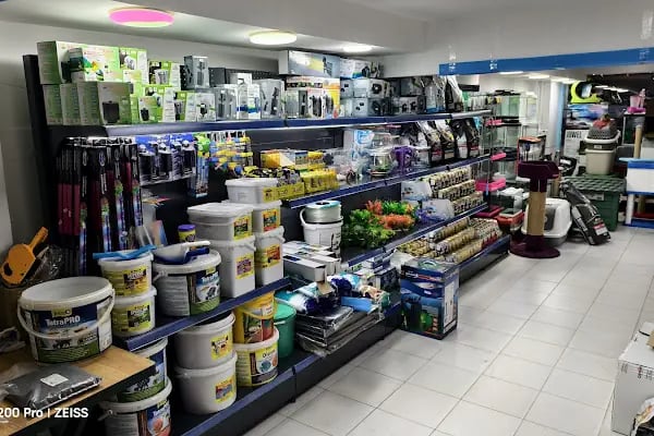 Blue Fish Petshop - Resim 19