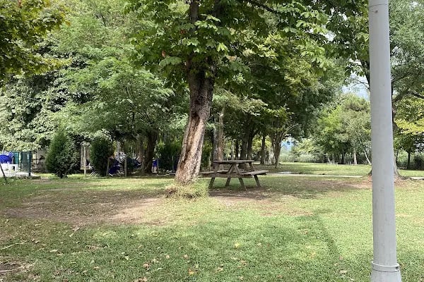Seka kamp piknik alanı - Resim 17