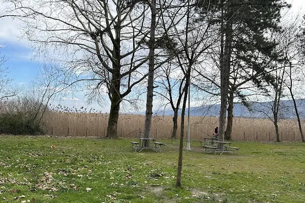 Seka kamp piknik alanı - Resim 12