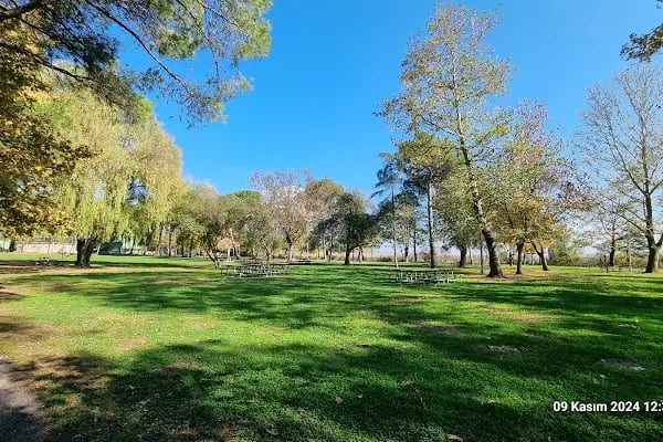 Seka kamp piknik alanı - Resim 3