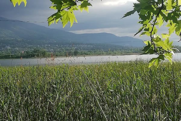 Seka kamp piknik alanı - Resim 14