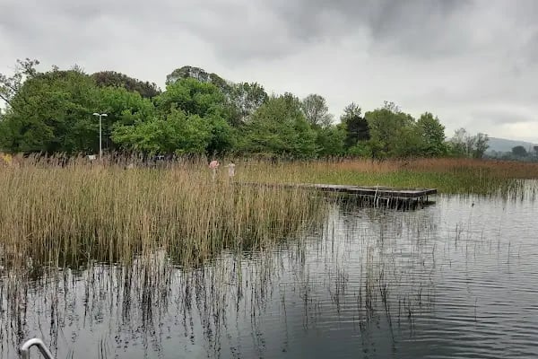Seka kamp piknik alanı - Resim 18