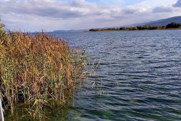 Seka kamp piknik alanı - Resim 19