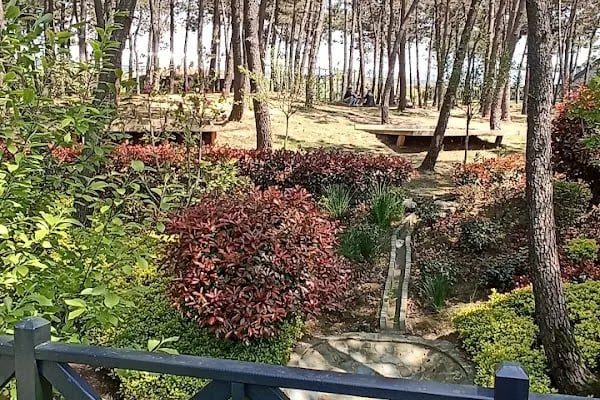 Ümraniye Millet Bahçesi - Resim 12