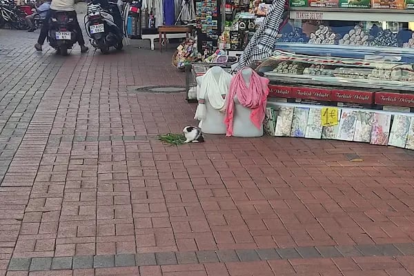 Alanya Big Bazaar - Resim 20