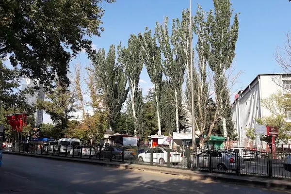 Dışkapı Hastanesi - Resim 12