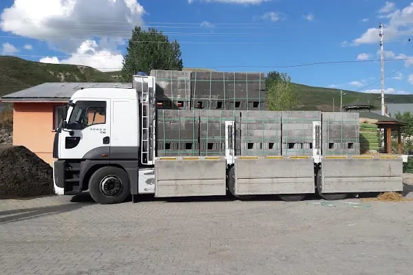 Boyuntaş İlköğretim Okulu - Resim 5