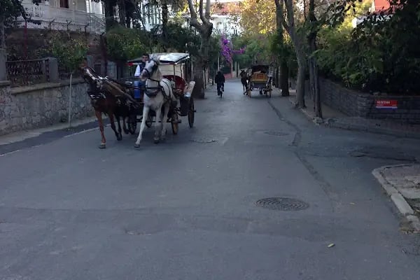 Di̇lmaclar Pansi̇yon - Resim 15
