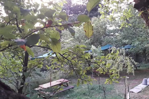 Saitabat Şelale Meşeli Tepe Piknik Alanı - Resim 17