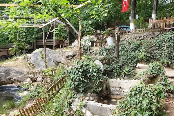 Saitabat Şelale Meşeli Tepe Piknik Alanı - Resim 8