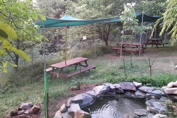 Saitabat Şelale Meşeli Tepe Piknik Alanı - Resim 16
