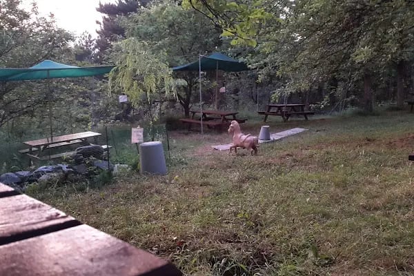 Saitabat Şelale Meşeli Tepe Piknik Alanı - Resim 10