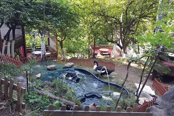 Saitabat Şelale Meşeli Tepe Piknik Alanı - Resim 12