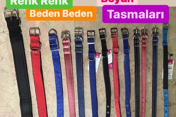 Bülent Pet Shop &amp; Pet Kuaför - Resim 13