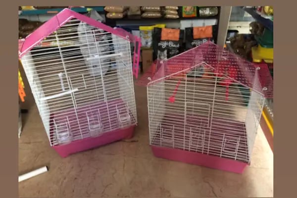 Bülent Pet Shop &amp; Pet Kuaför - Resim 19