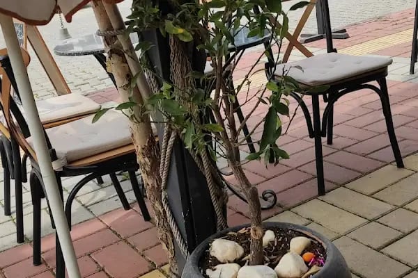Harlequin Coffee Shop - Resim 12