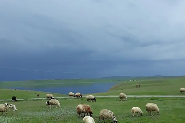 Arslanhane - Resim 5