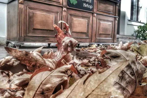Dörtler Kebap Salonu - Resim 20