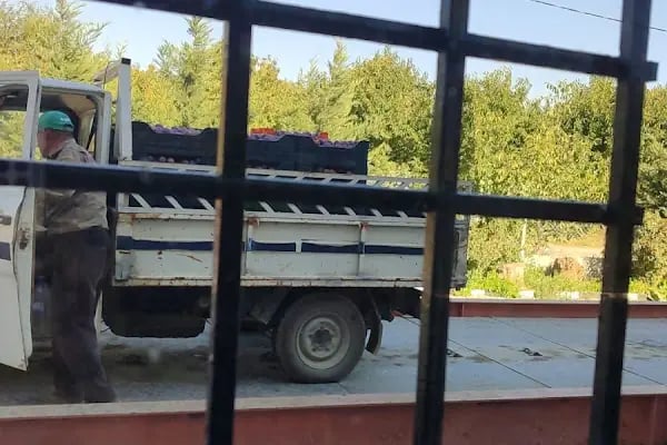 Atakent soğuk hava deposu - Resim 7