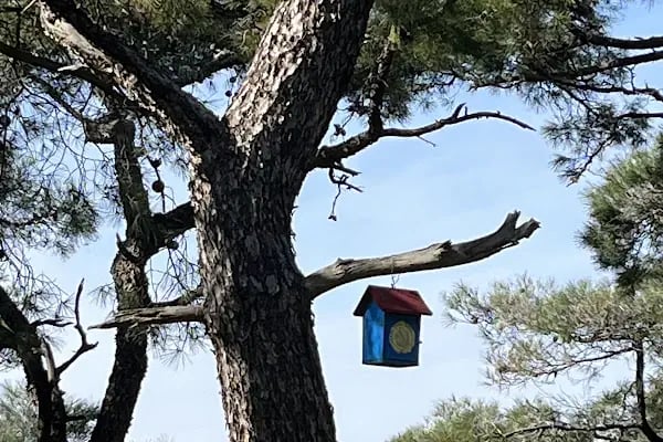 İsa Rum Manastırı - Resim 19