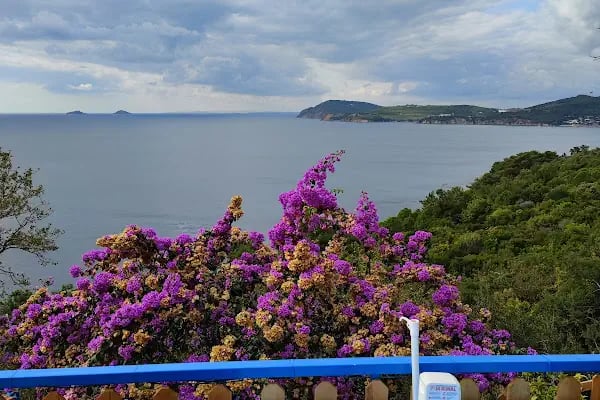 BÜYÜKADA MAVİ RESTAURANT & BUTİK OTEL - Resim 10